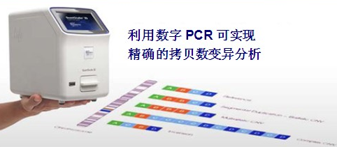 未来数字PCR仪将会占有最为广泛的市场