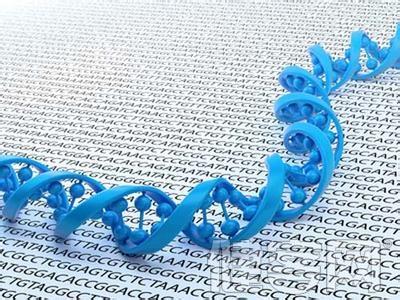 基因测序描绘个体化医疗产业图谱