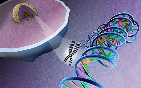 基因测序行业2015年或临洗牌 数据处理催生新兴产业
