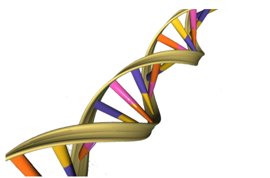 个体化基因组测序或加速个体化疗法的开发